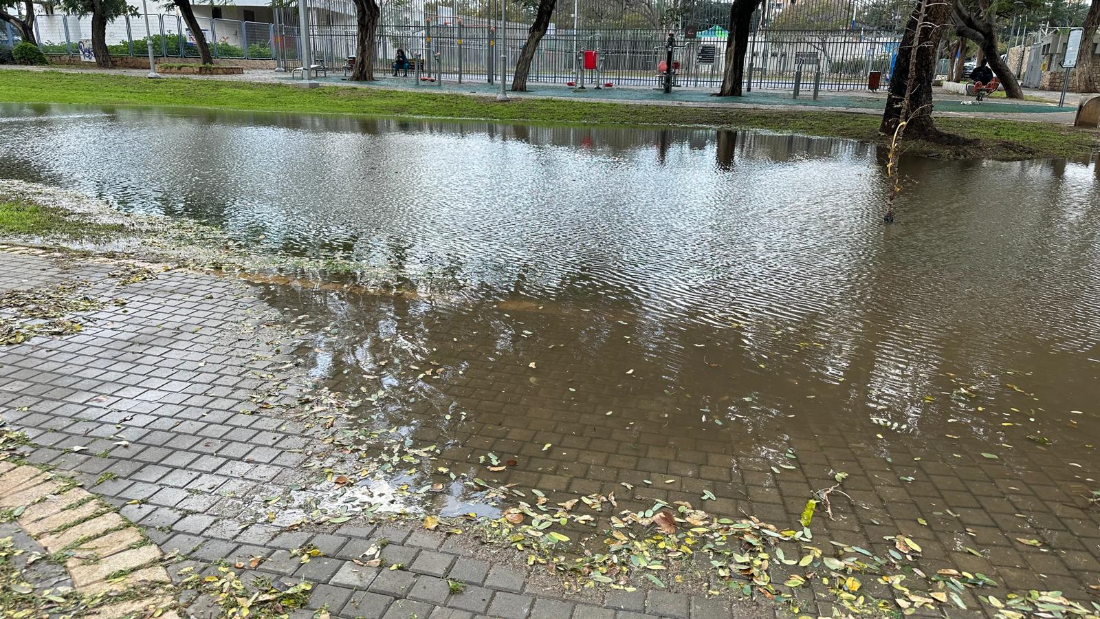 WhatsApp Image 2024-01-30 at 19.11.14.jpeg